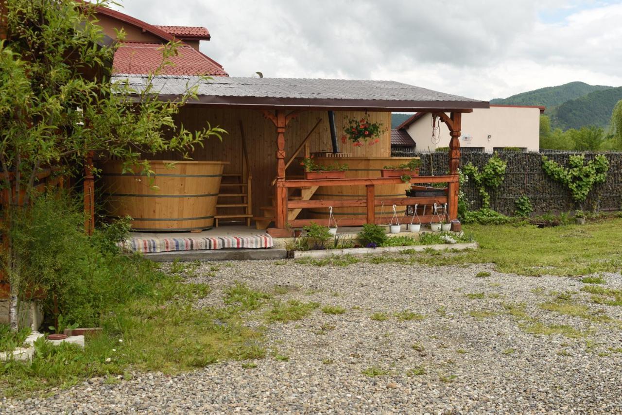 Pension Ioana Lavita Vadu Izei Exterior foto