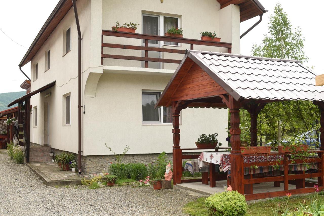 Pension Ioana Lavita Vadu Izei Exterior foto