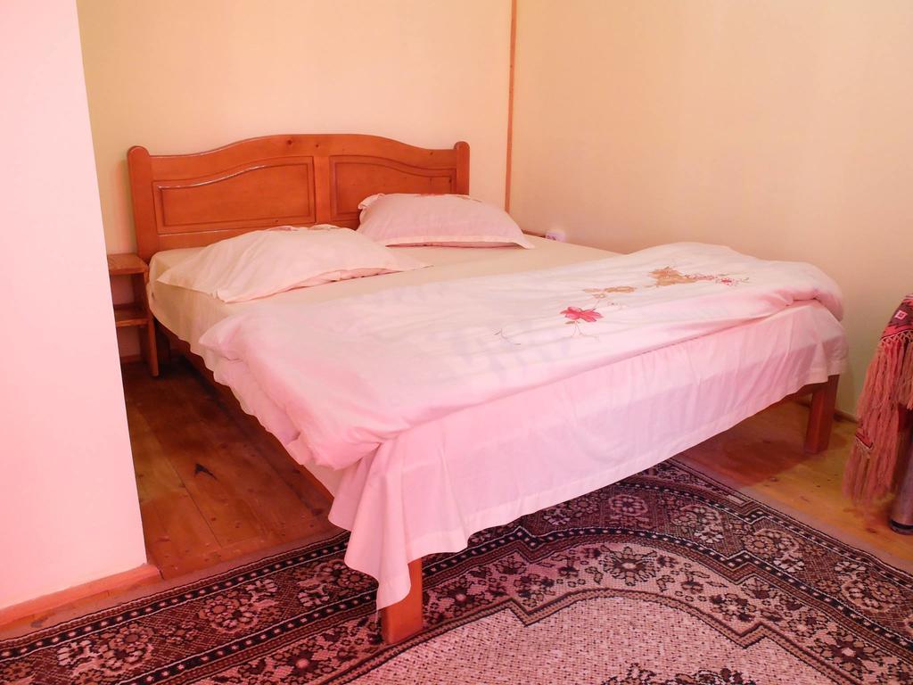 Pension Ioana Lavita Vadu Izei Exterior foto
