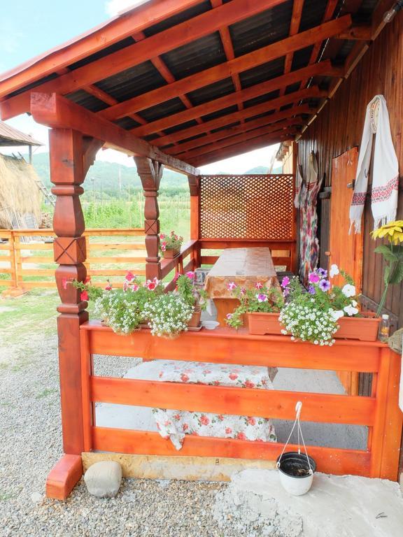 Pension Ioana Lavita Vadu Izei Exterior foto