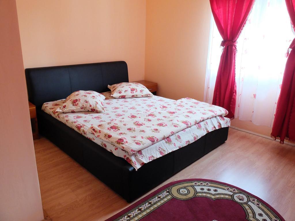 Pension Ioana Lavita Vadu Izei Exterior foto