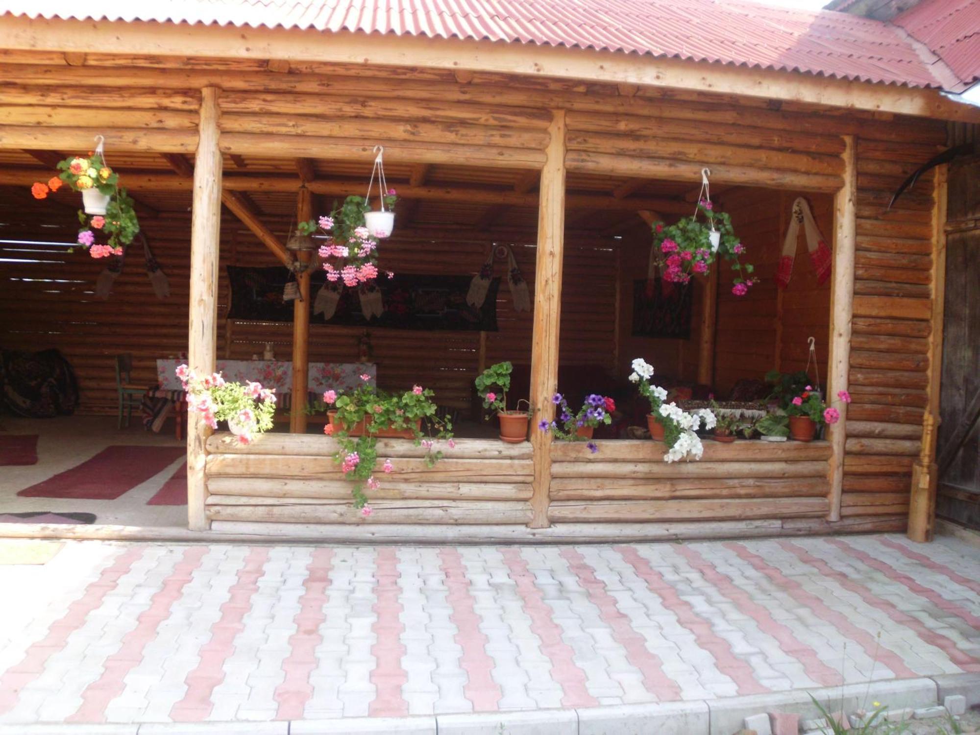 Pension Ioana Lavita Vadu Izei Exterior foto