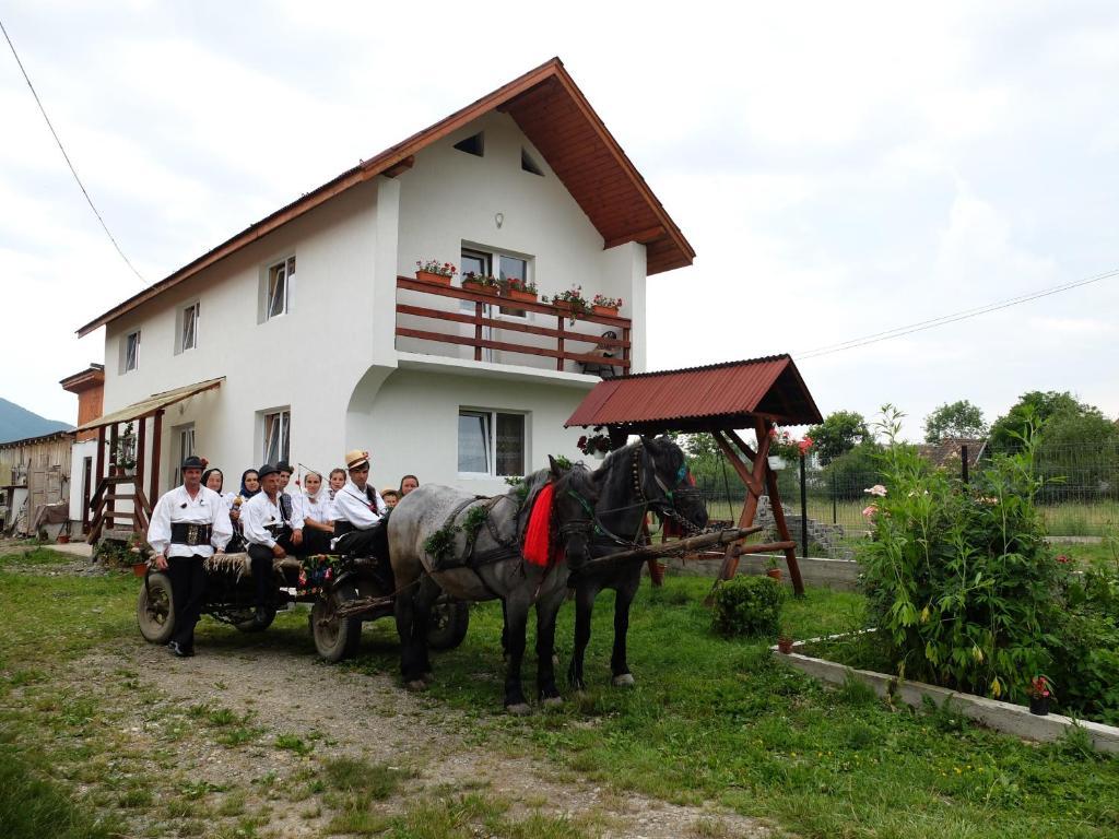 Pension Ioana Lavita Vadu Izei Exterior foto