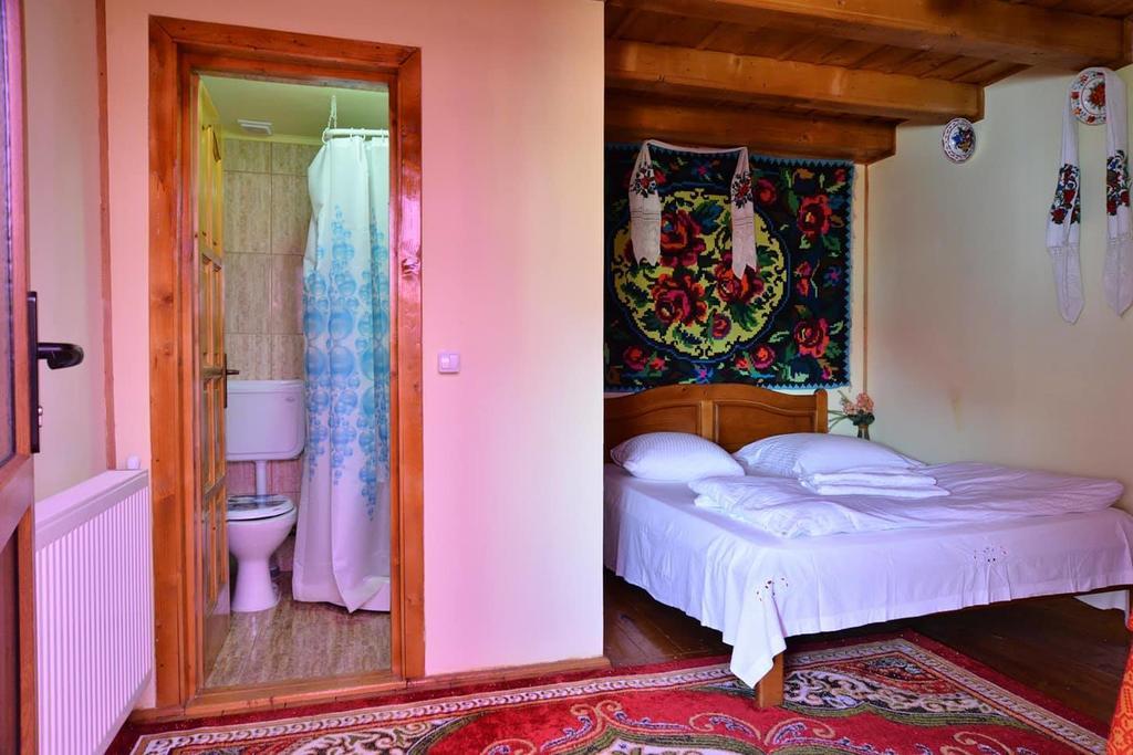 Pension Ioana Lavita Vadu Izei Exterior foto