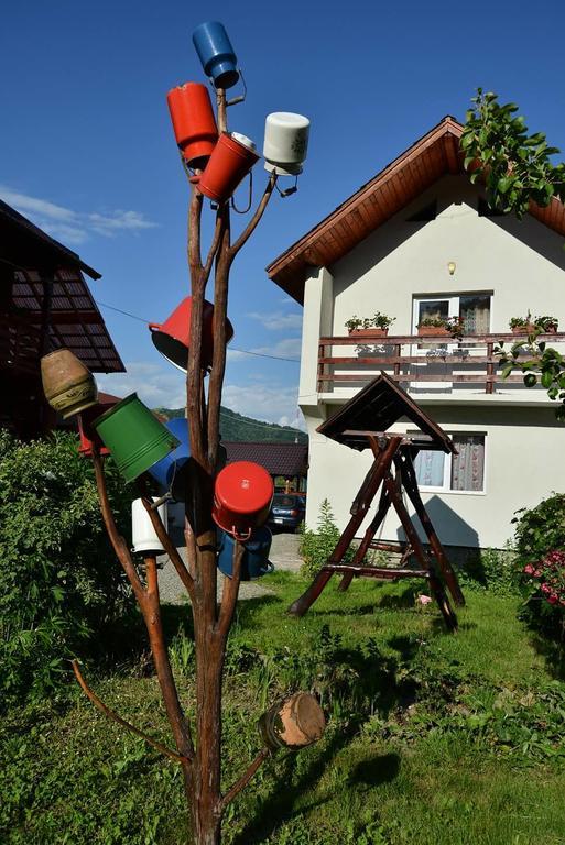 Pension Ioana Lavita Vadu Izei Exterior foto