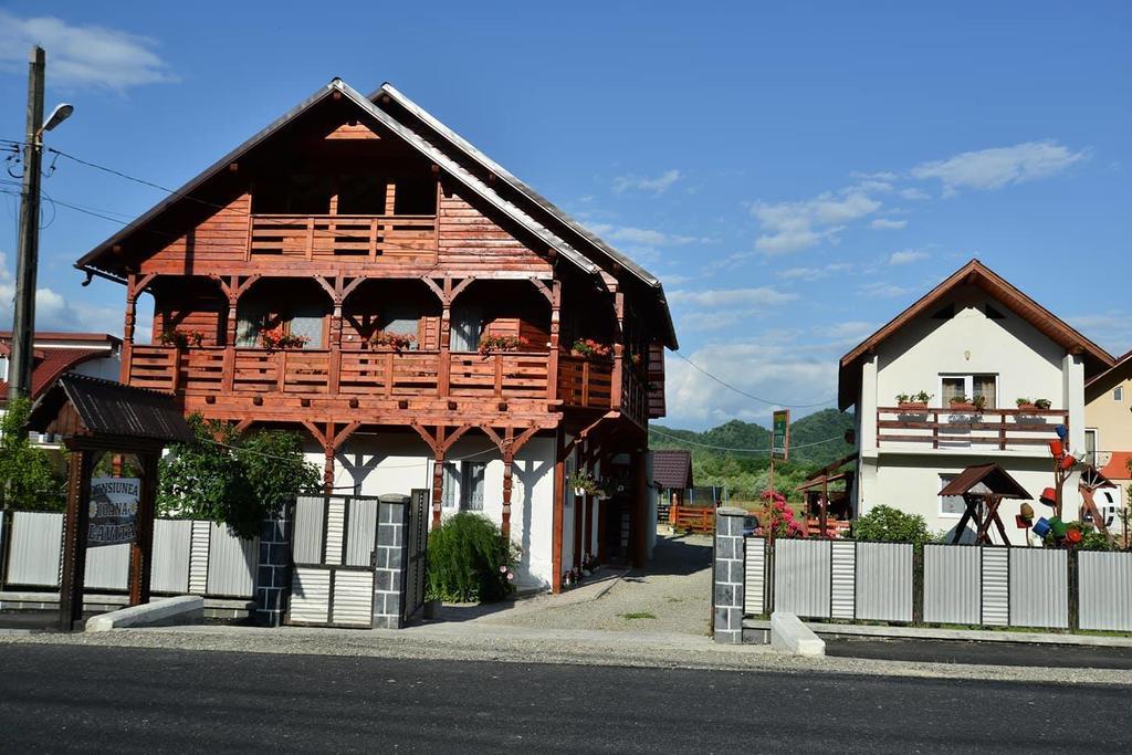 Pension Ioana Lavita Vadu Izei Exterior foto