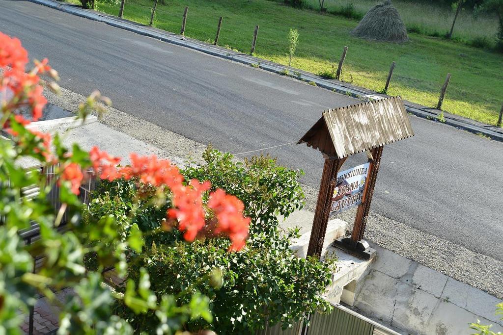 Pension Ioana Lavita Vadu Izei Exterior foto
